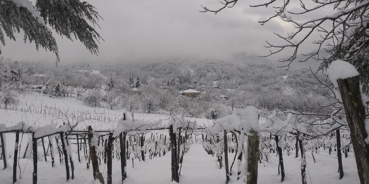 Dimis Ferdobi Exterior foto